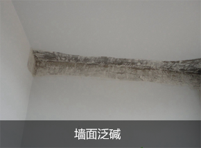 墻面泛堿