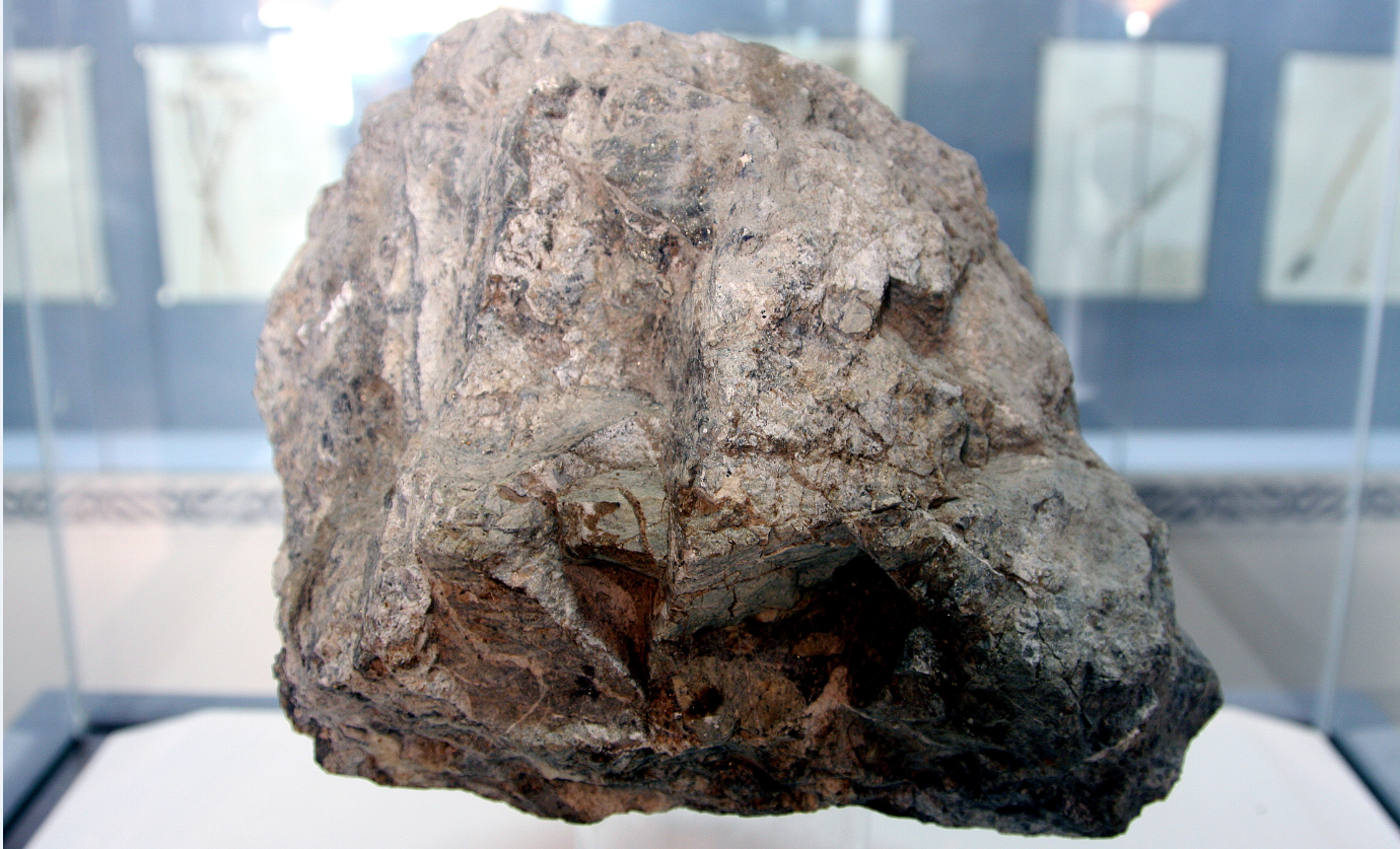 礦石、煤炭檢測(cè)